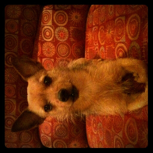 Meet your Posher, Sandi - Picture 1 of 1